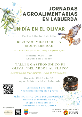 Imagen Un día en el olivar - sábado 18 de julio 9:30 h en San Vicente