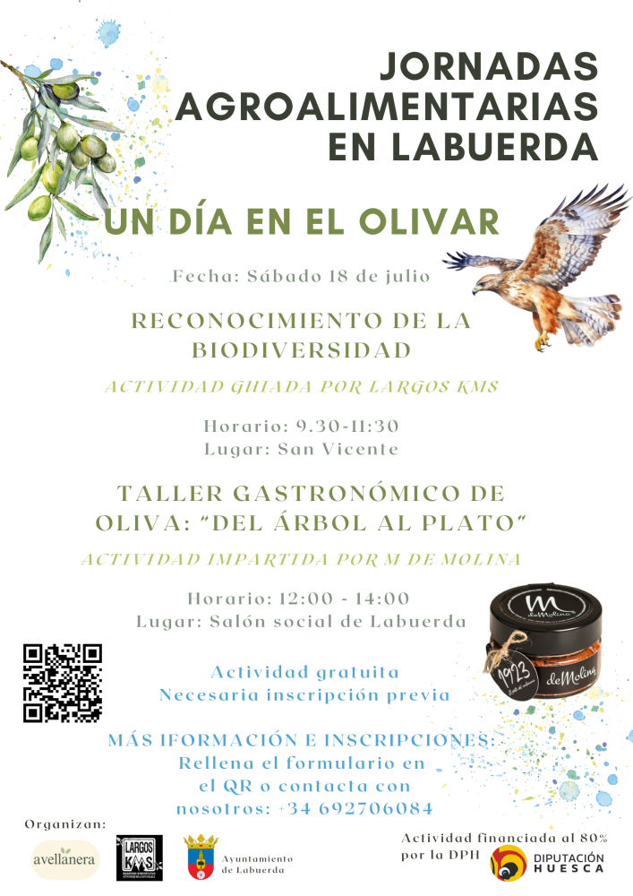 Imagen Un día en el olivar - sábado 18 de julio 9:30 h en San Vicente